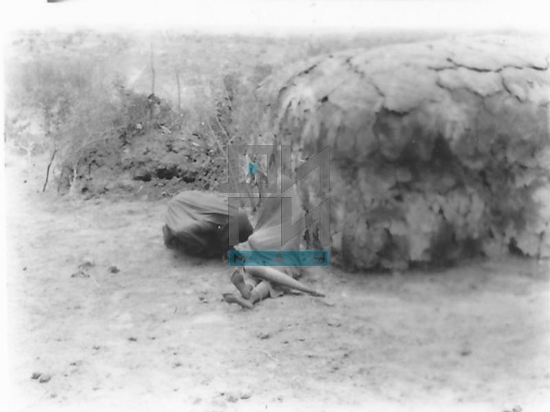 Maasai in front of a Traditional House (VZP.N.190-34)