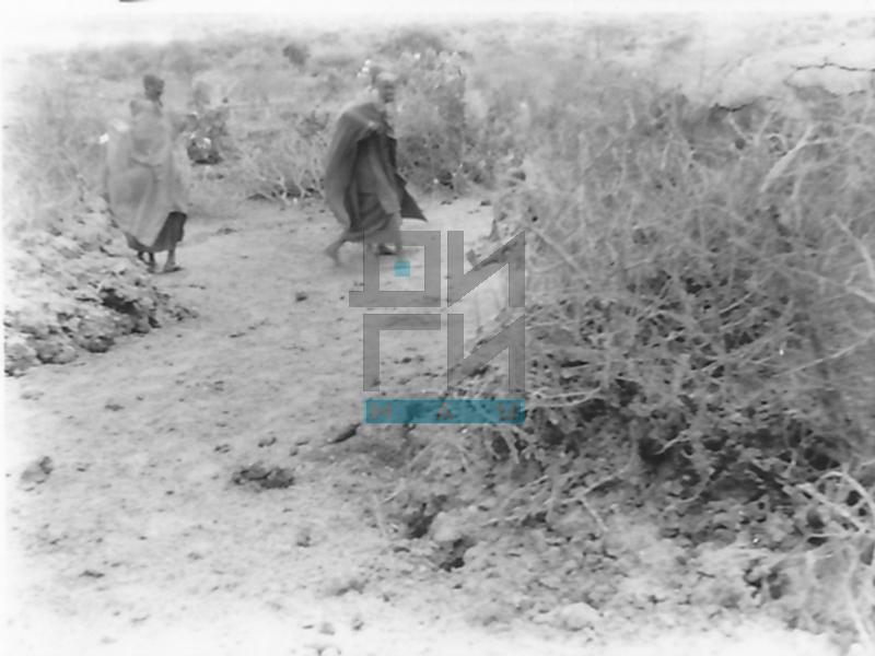 Masai ratnici u tradicionalnom selu (VZP.N.190-32)