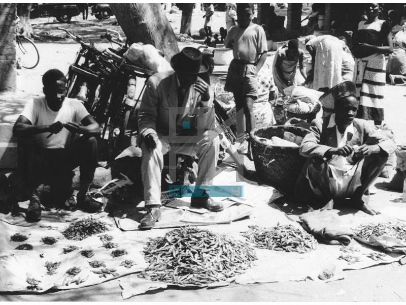 Dried fish sale on market (VZP.F.00051)