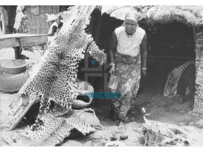 Selling leopard skin in Ibadan (VZP.F.00008)